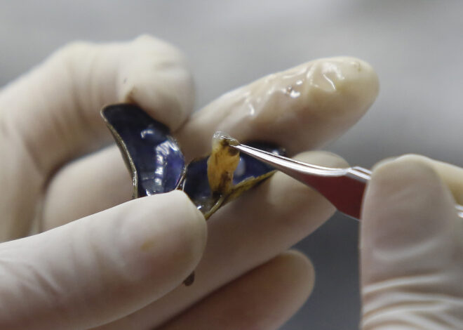 ‘The infestation is here’: Another Calif. county declares emergency over species