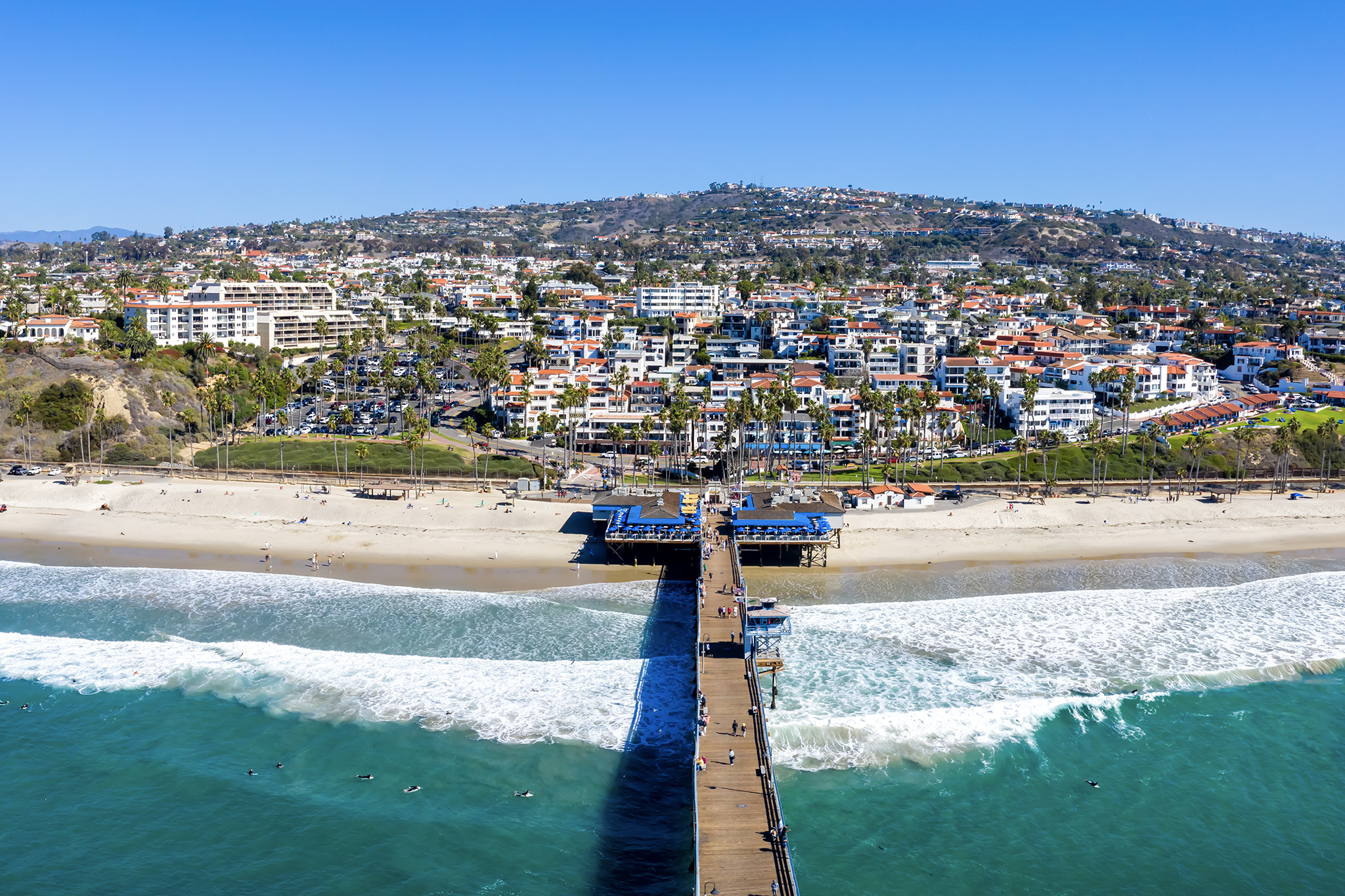 Impossibly rare tropical bird swooped over California. Experts fear a trend.
