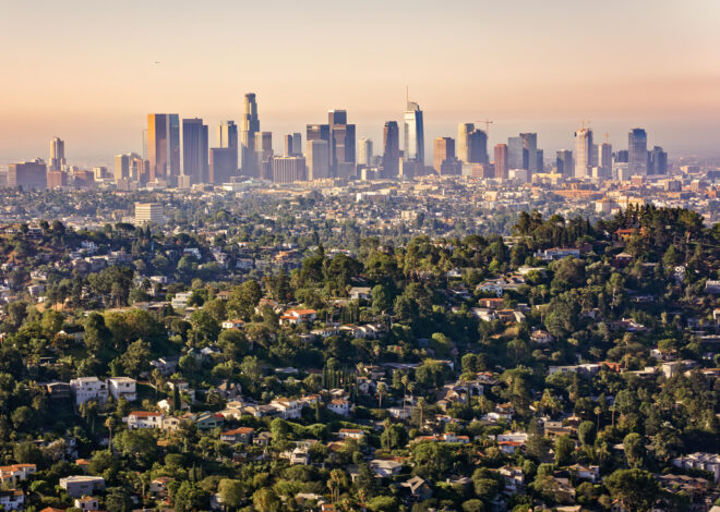 A pest that leaves unsightly ‘sugar volcanoes’ is trashing Calif. home values