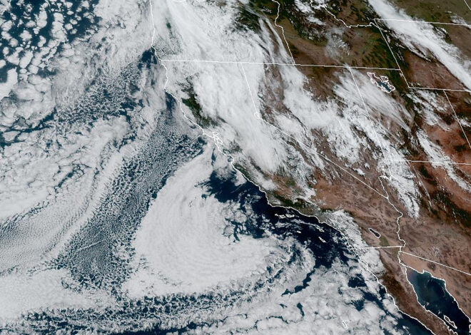 Record-breaking rain may delay start of peak fire season for Bay Area