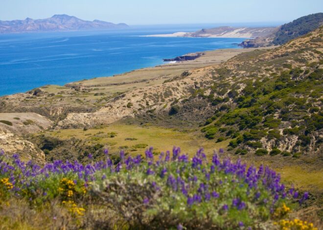 Nearly one-fifth of Calif. national park island has burned in human-caused fire