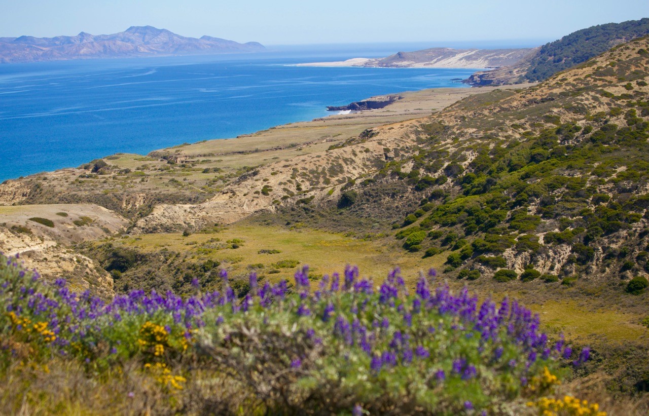 Nearly one-fifth of Calif. national park island has burned in human-caused fire
