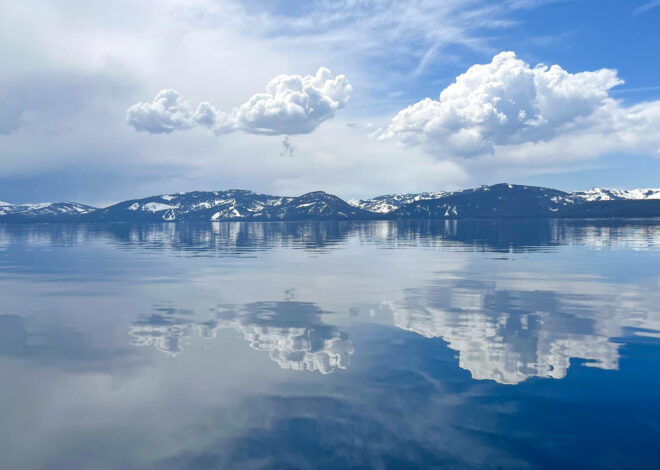 4 golden mussels found on a boat bound for Tahoe. It could have been a disaster.