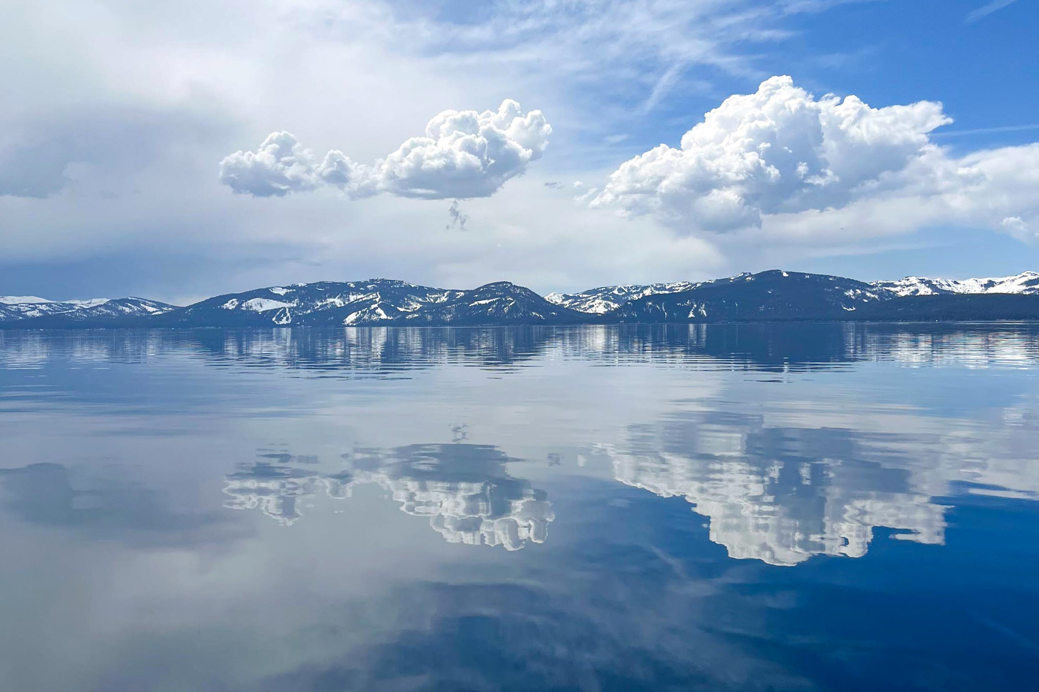 4 golden mussels found on a boat bound for Tahoe. It could have been a disaster.