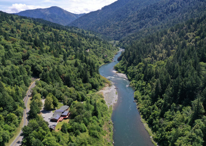 Deadly parasite is flourishing in a California river