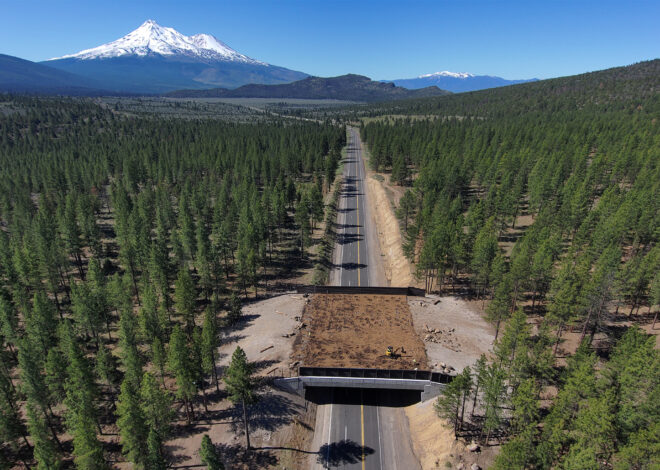 Multimillion-dollar wildlife bridge in NorCal gets first travelers before it opens