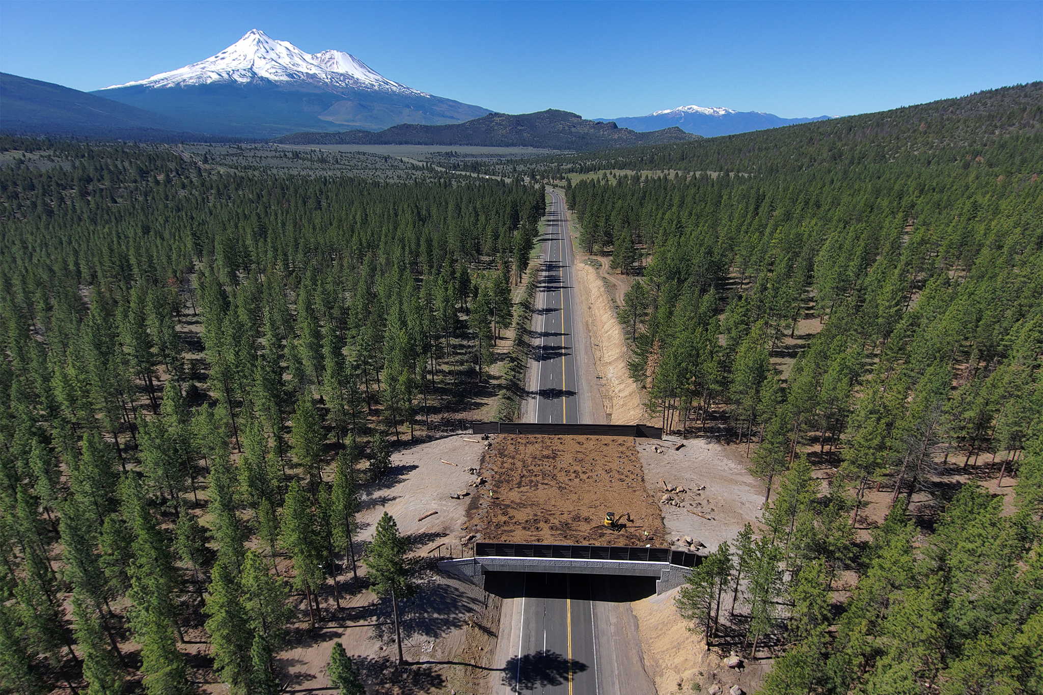Multimillion-dollar wildlife bridge in NorCal gets first travelers before it opens