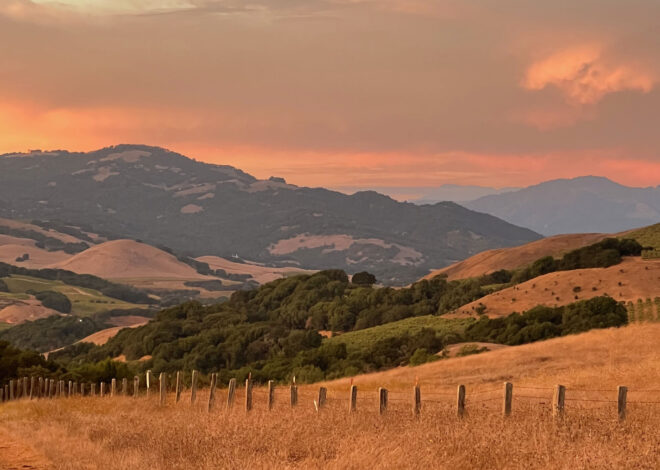 Extremely rare tick-borne disease resurfaces in California