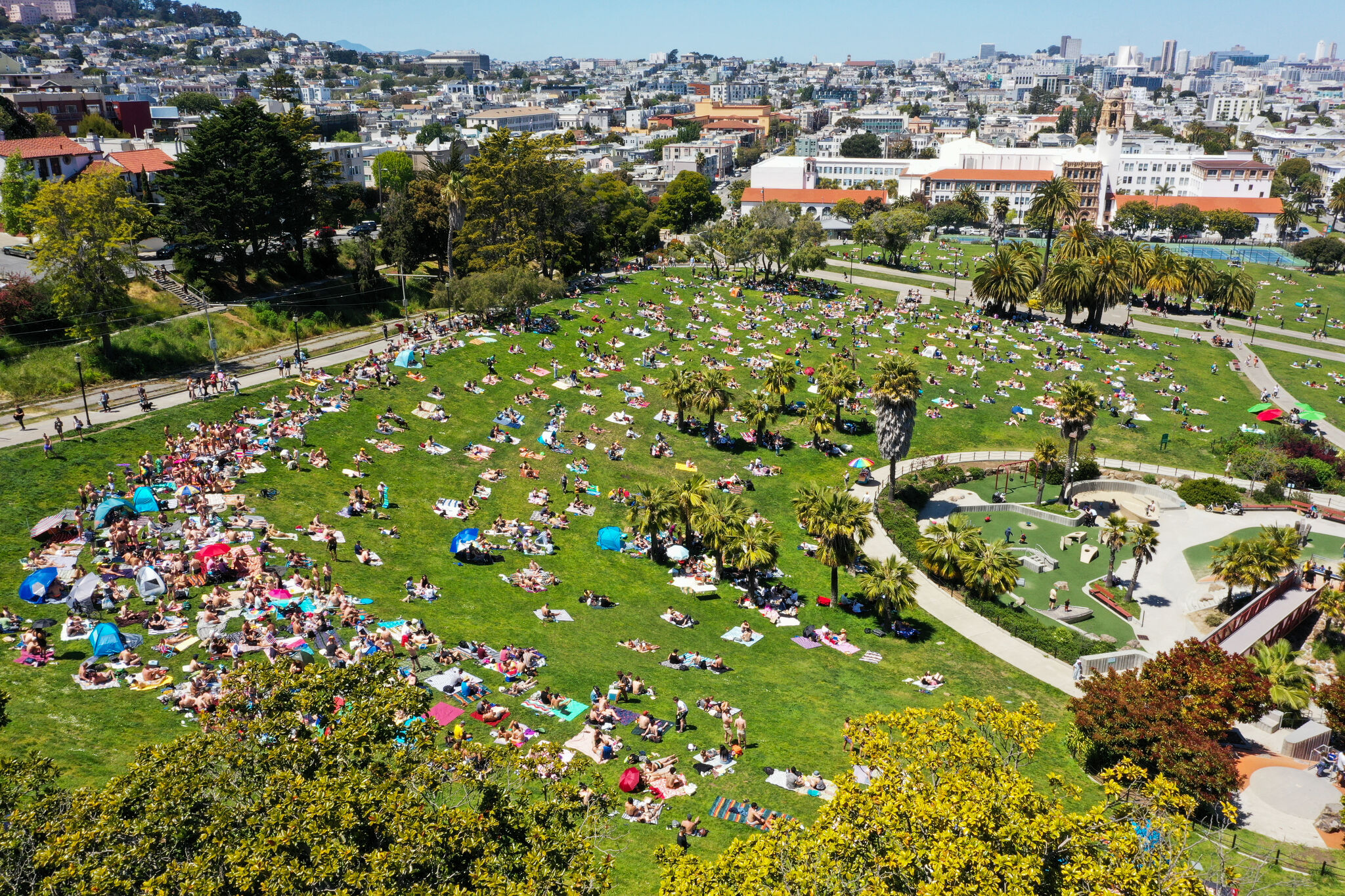 SF man without a license arrested on suspicion of reckless driving in Dolores Park