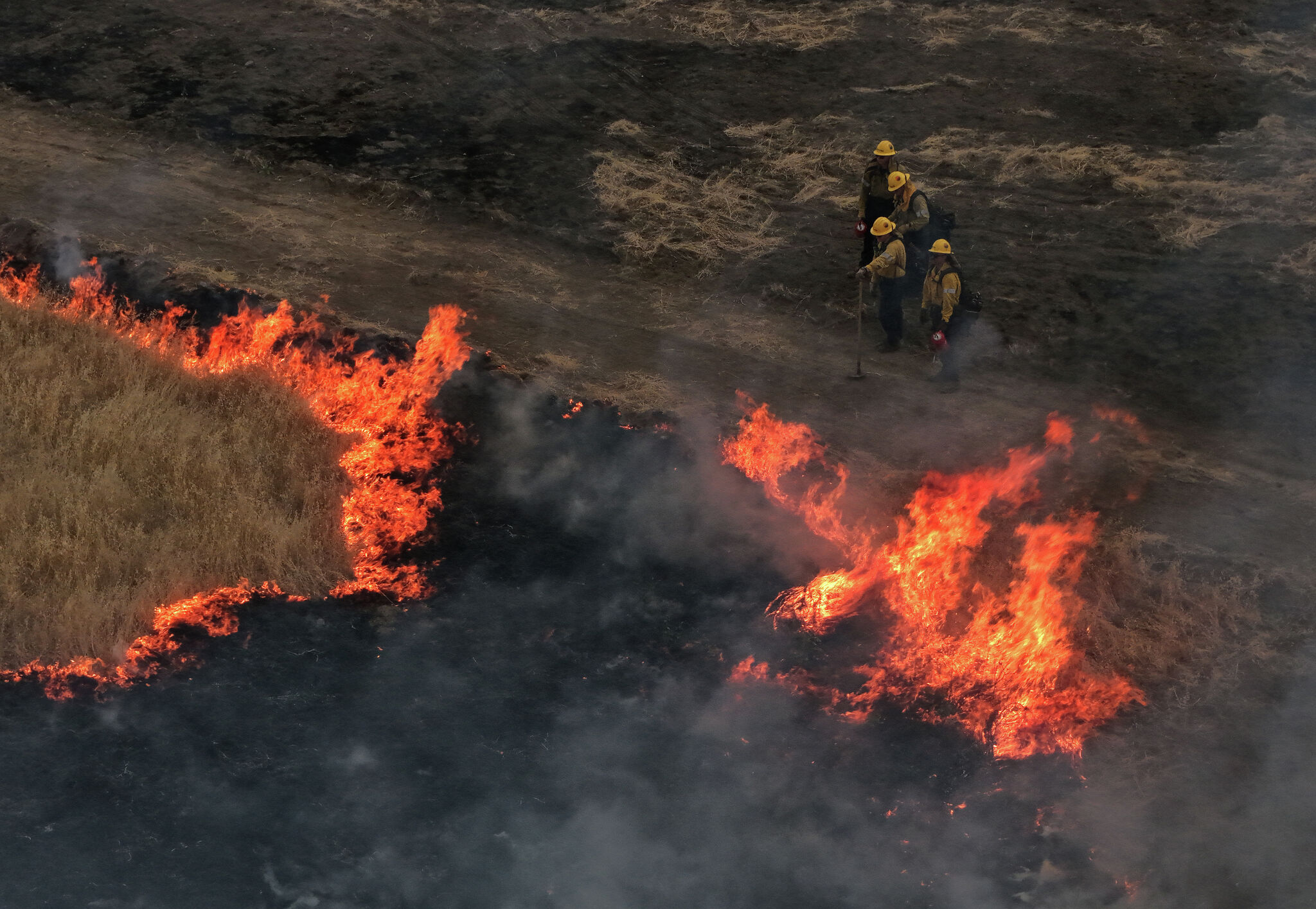 Stanford study finds surprising upside of prescribed burns