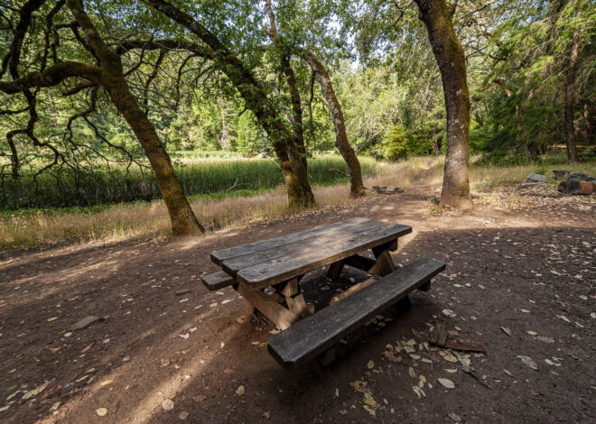 California State Parks giving $50 passport away for free
