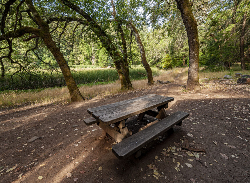 California State Parks giving $50 passport away for free