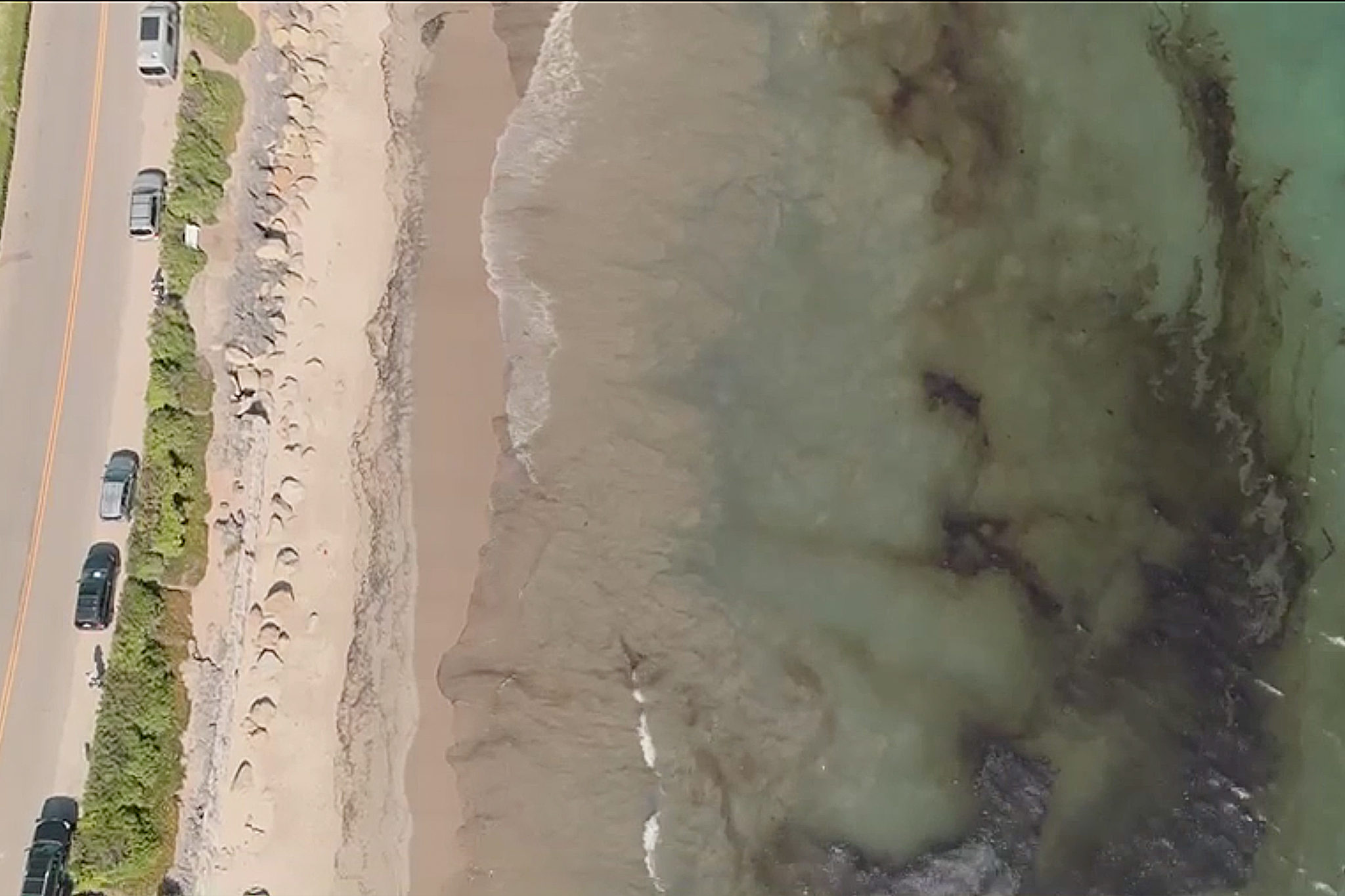 Oil slick stretches hundreds of feet at popular Calif. beach