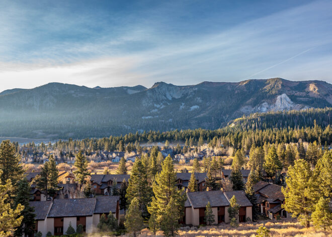 Man fights off bear with a hatchet in Mammoth Lakes