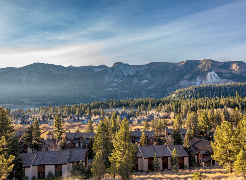 Man fights off bear with a hatchet in Mammoth Lakes