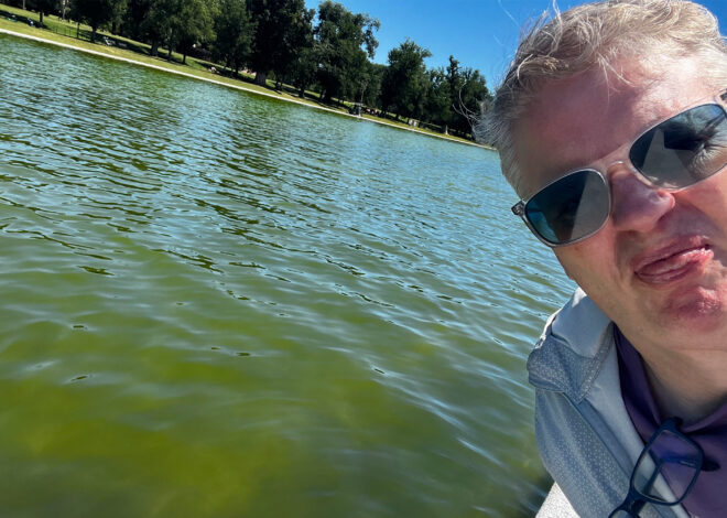 Congratulations, the Reflecting Pool is now a swamp
