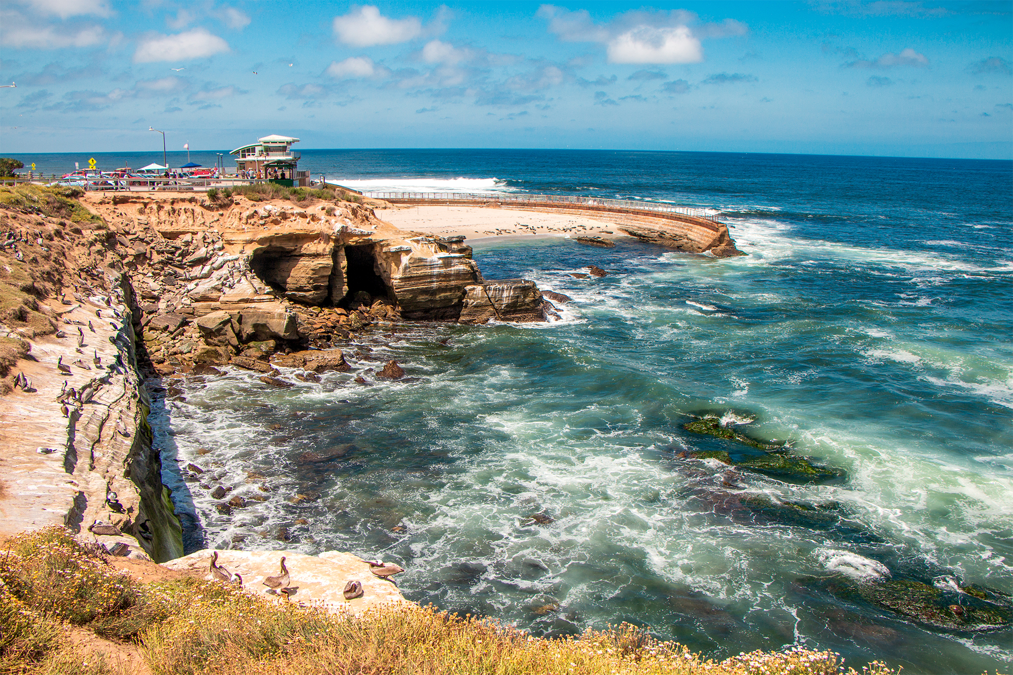 Calif. city brings back controversial tactic to clean up stinky beach