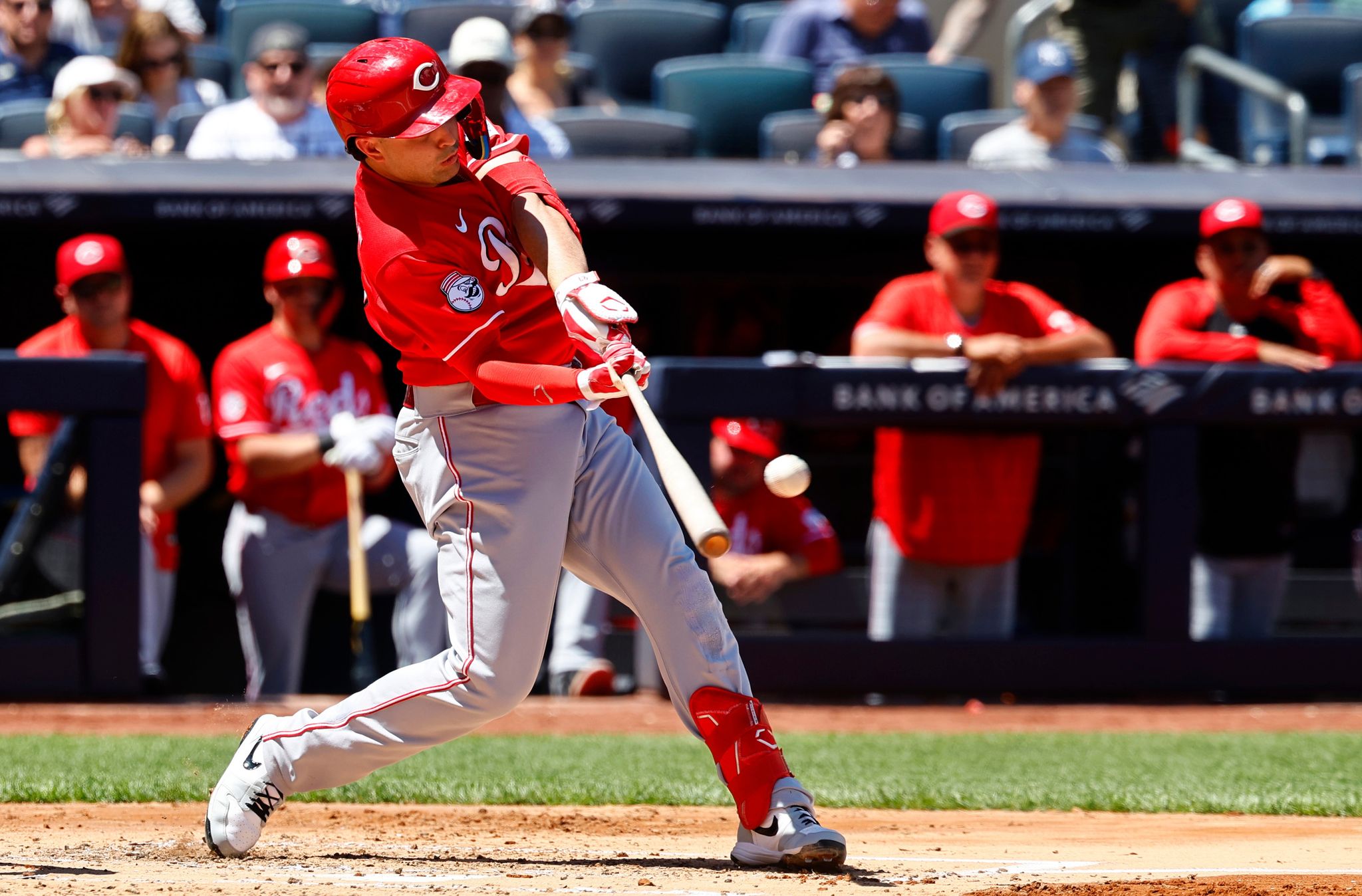 Sal Stewart ties career high with six RBIs and Reds rout Yankees 10-2