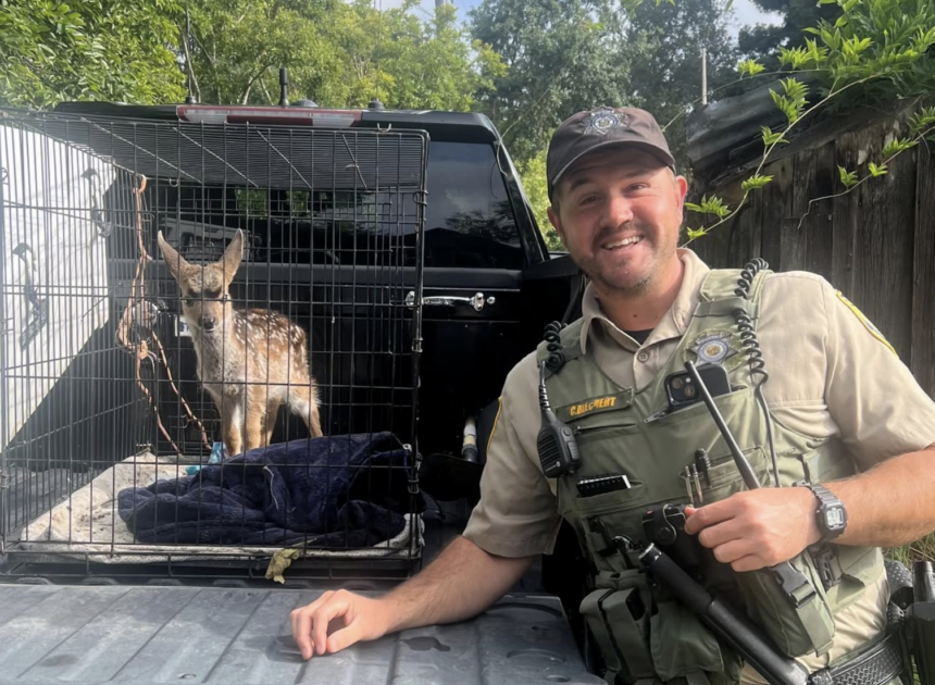 Bay Area resident admits to capturing wild animal, keeping it at home for weeks