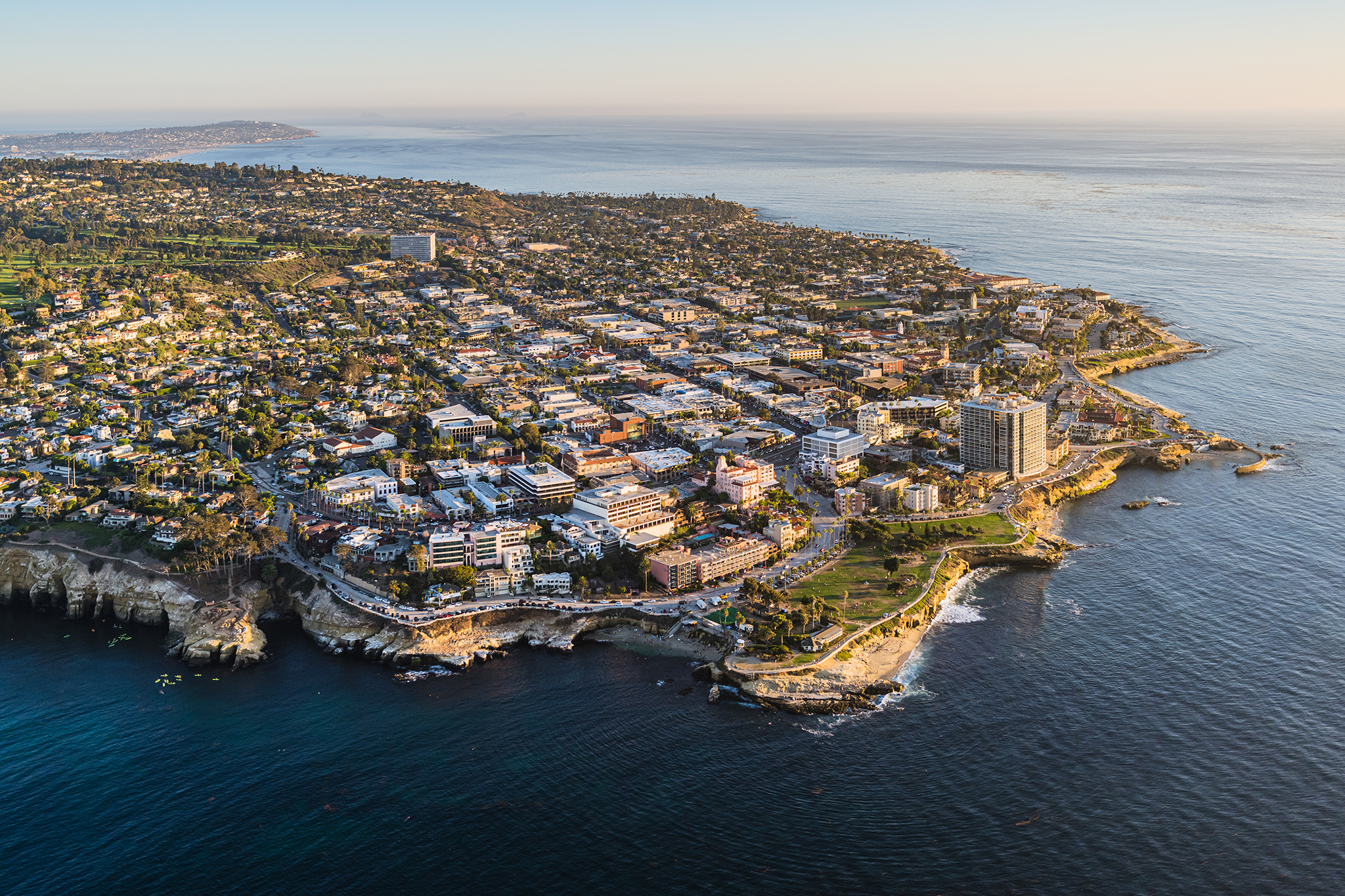 California officials to dump millions of flies over San Diego County residents