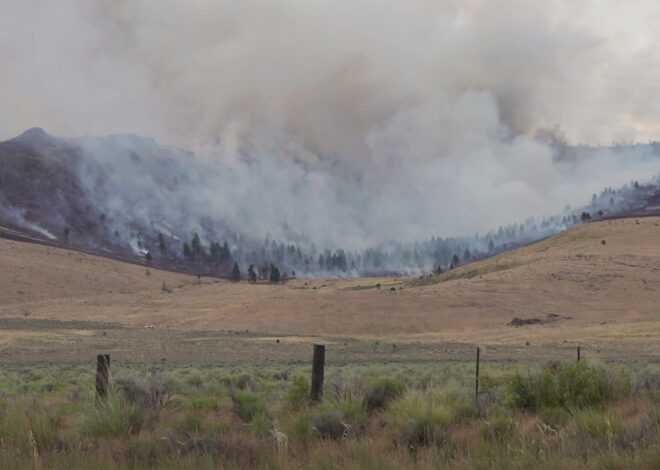 Elephant Fire jumps to over 12,300 acres, second largest in Calif. this year
