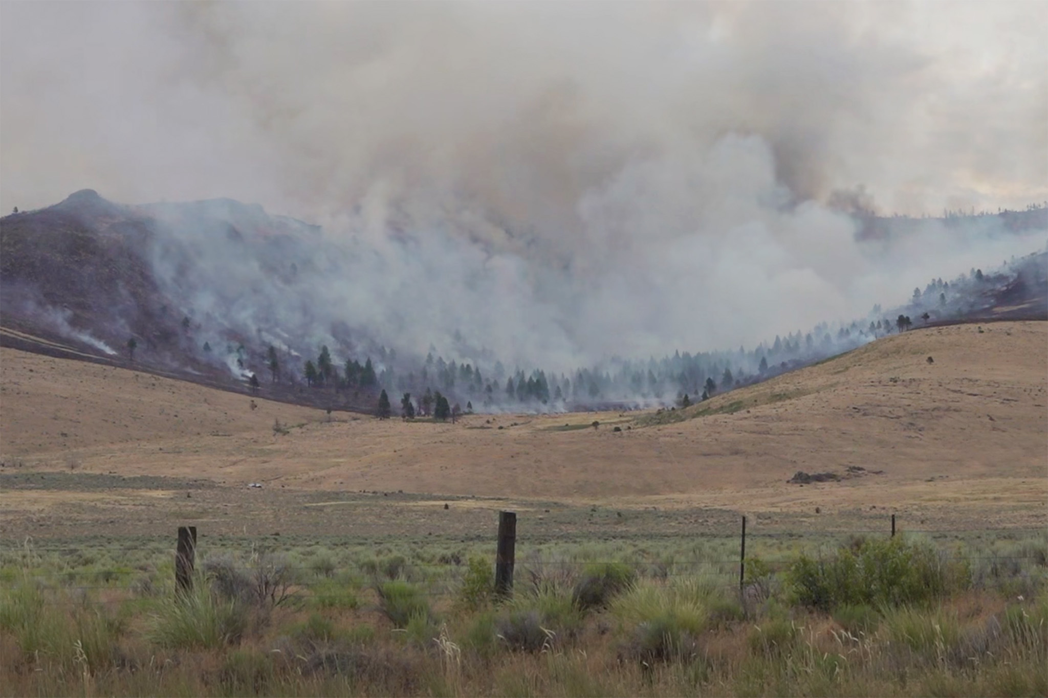 Elephant Fire jumps to over 12,300 acres, second largest in Calif. this year
