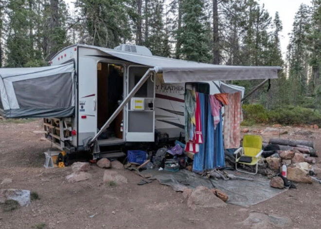 Calif. father, son held biologists studying frogs in 15-hour hostage ordeal