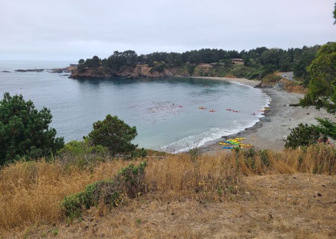 Driver falls 150 feet and crashes on California state beach