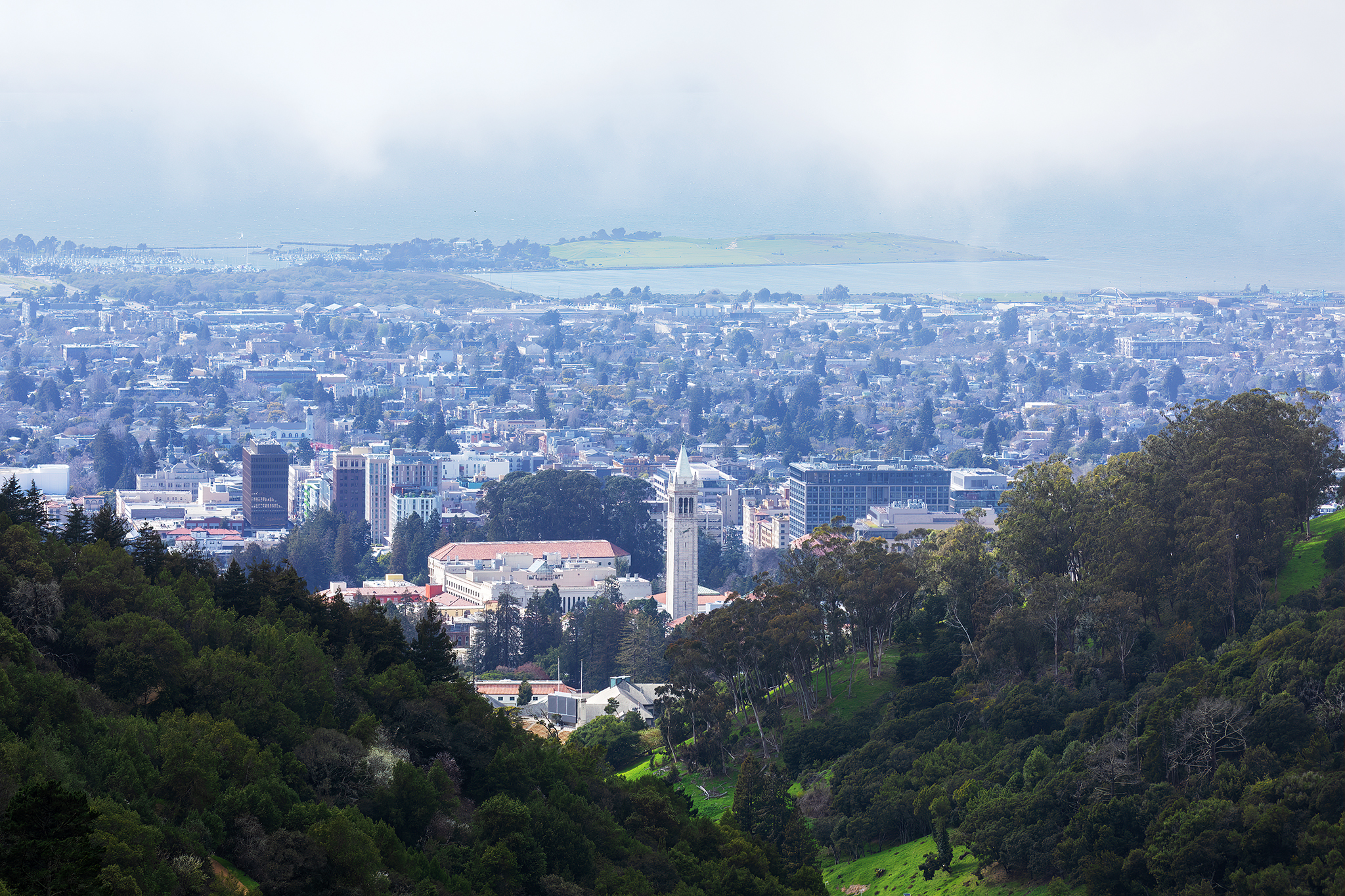 A UC Berkeley professor was slain in Greece. Now possible squatters occupy his home.