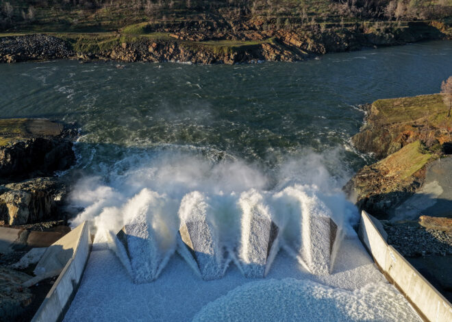 ‘No point of return’: Calif. won’t keep golden mussels from second-largest reservoir
