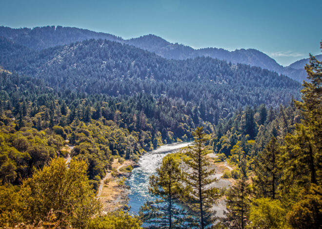 Woman dies in NorCal river after life vest tangles on branch