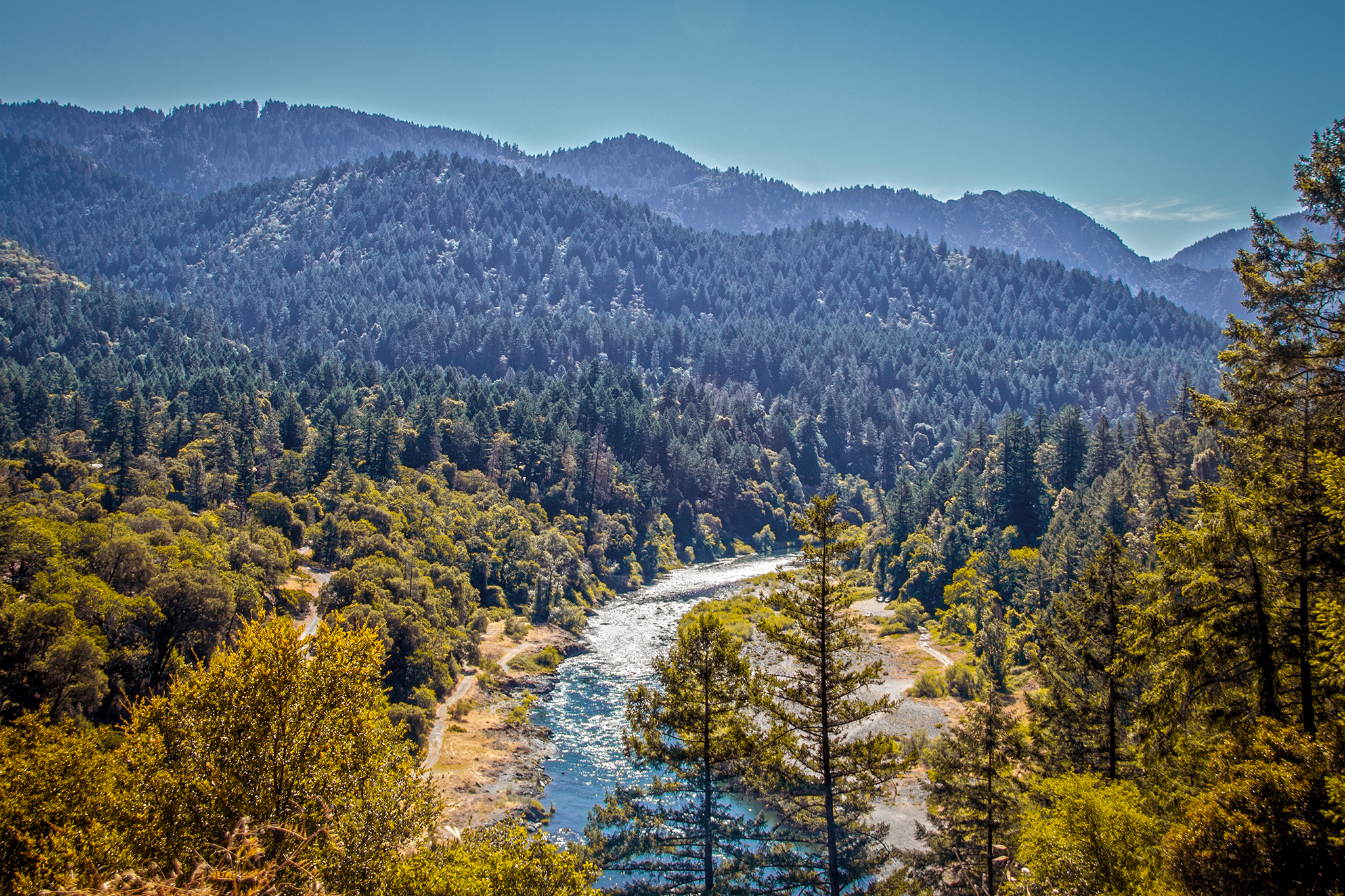 Woman dies in NorCal river after life vest tangles on branch