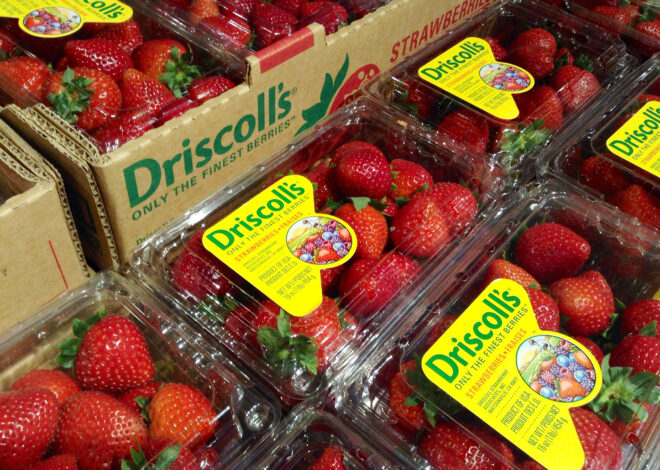 Driscoll’s strawberries hit with back-to-back accusations of pesticides and PFAS