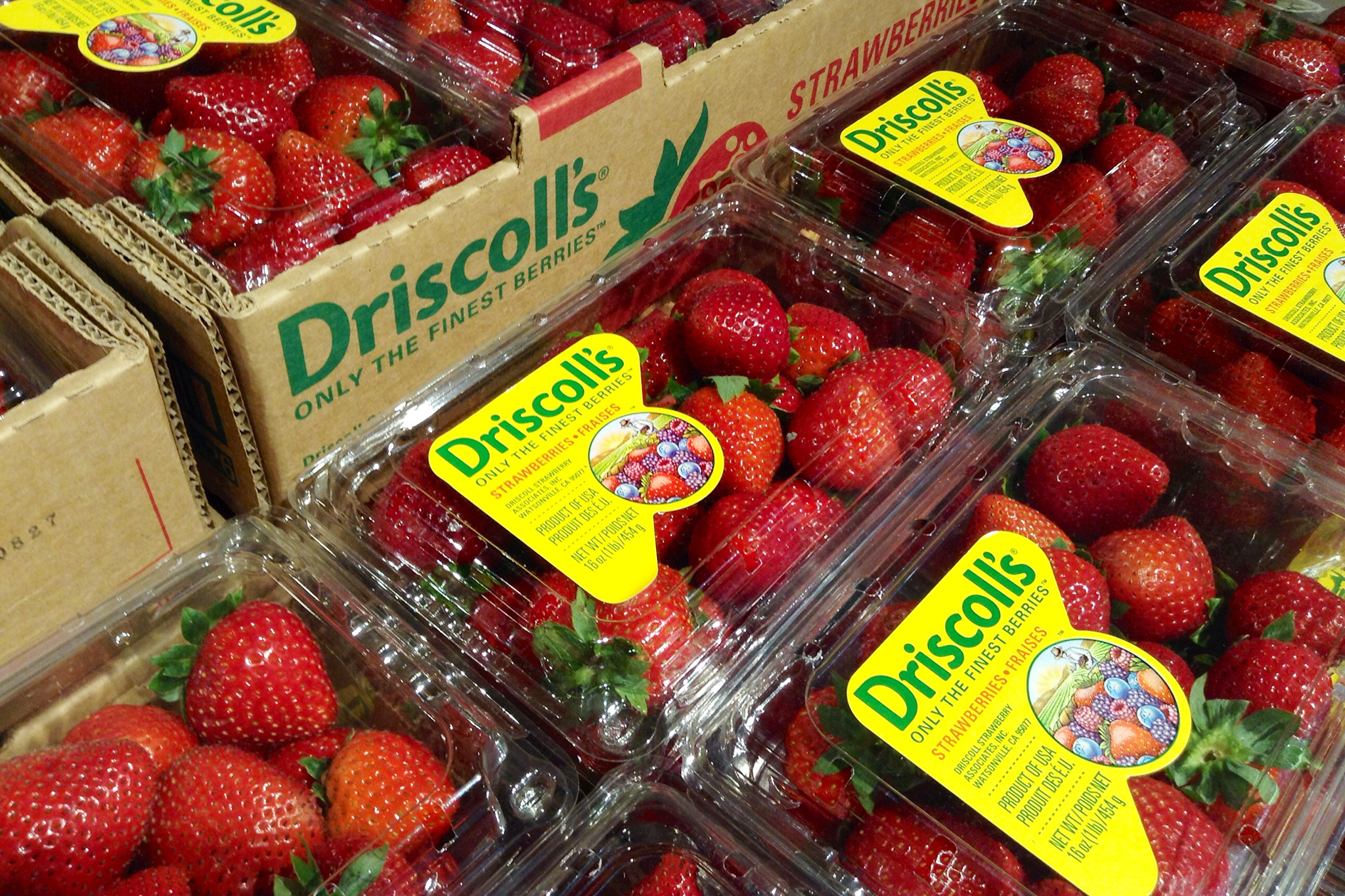 Driscoll’s strawberries hit with back-to-back accusations of pesticides and PFAS