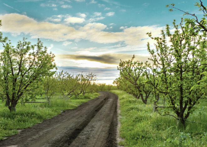 She was alone in a remote Bay Area farmhouse. A killer found her.
