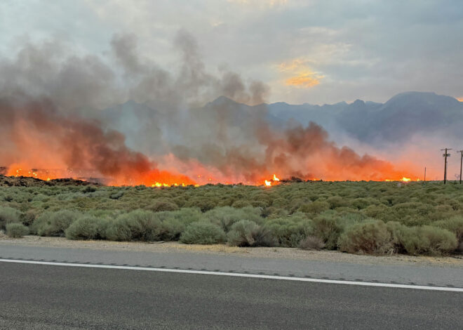 2 massive California wildfires erupt near Highway 395 amid ‘erratic winds’