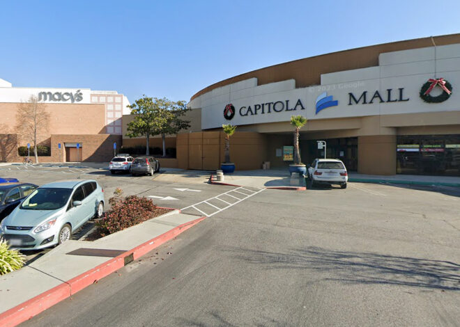 Teenager allegedly stabbed woman to death at NorCal mall