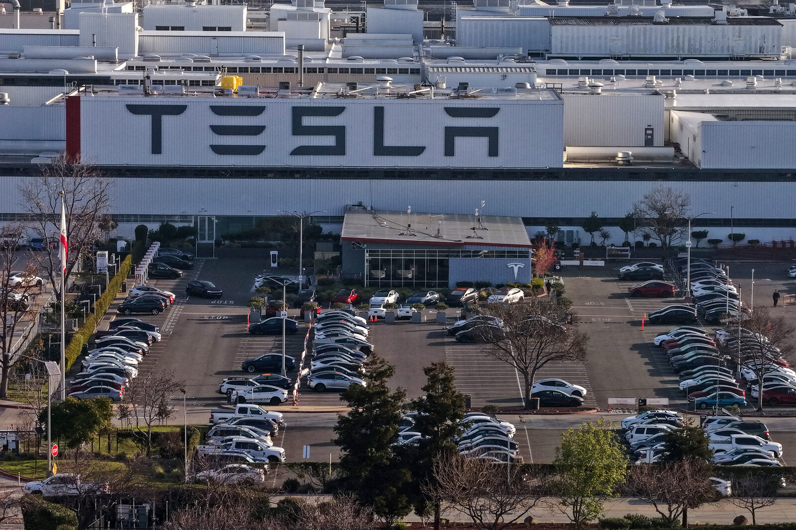 Calif. Tesla worker alleges company denied him job over cannabis use