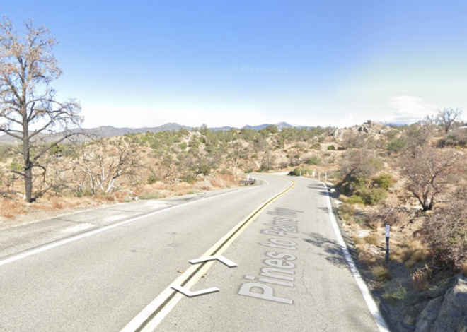 Remains of murdered California millionaire, killed by con man, identified
