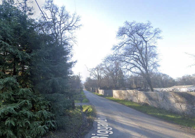 Northern California woman tried to kill roommate but gun jammed, police say