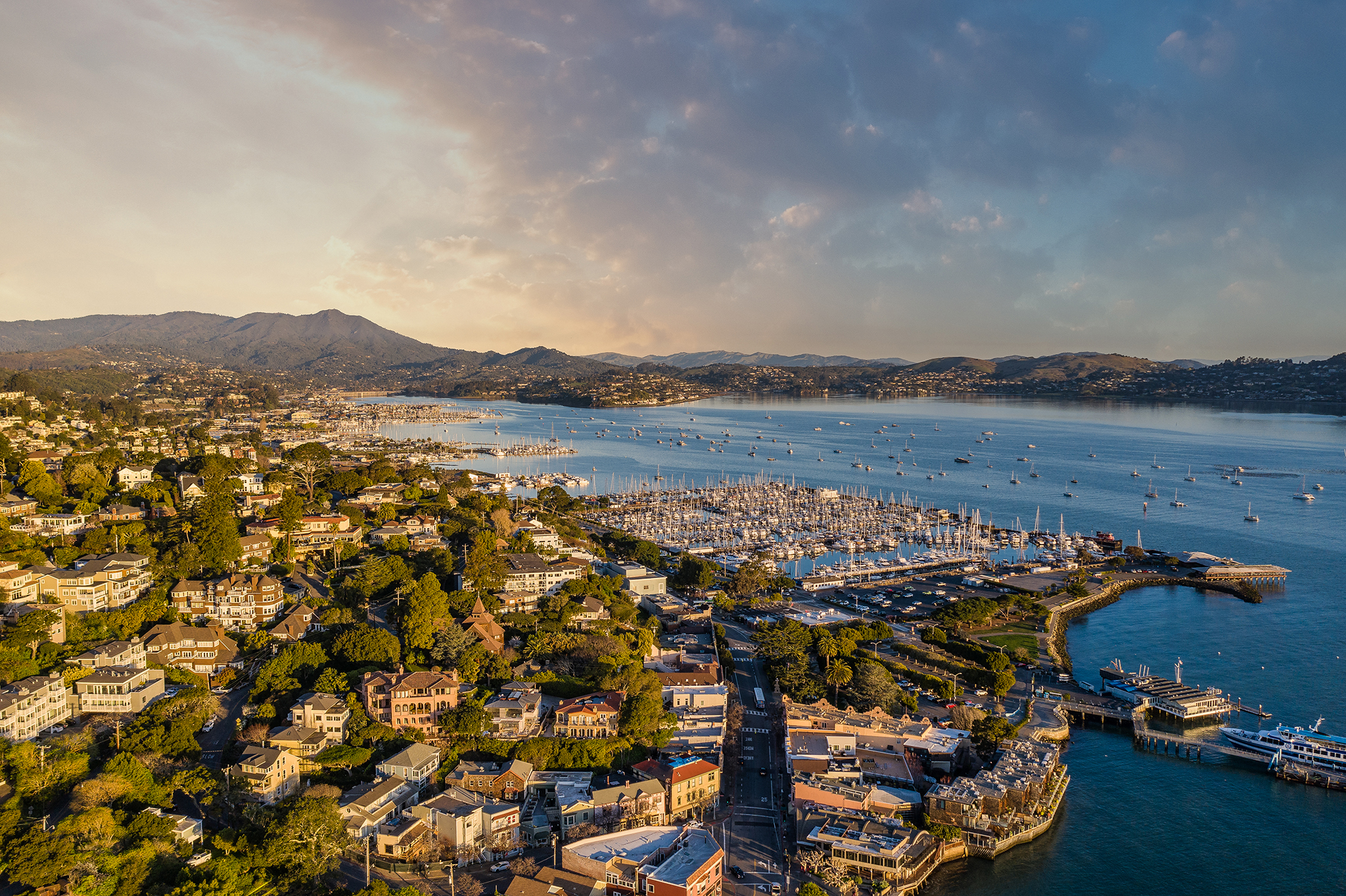 Sausalito city manager arrested just weeks after starting her position