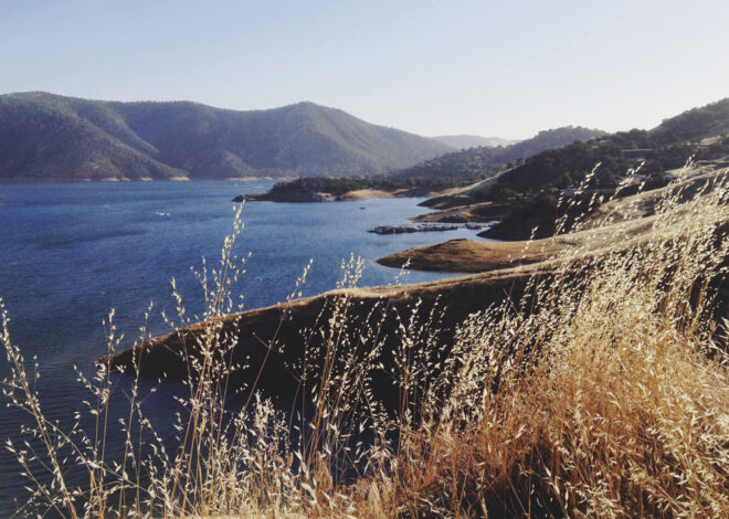 Calif. rescue team finds 70-year-old man after weeklong search