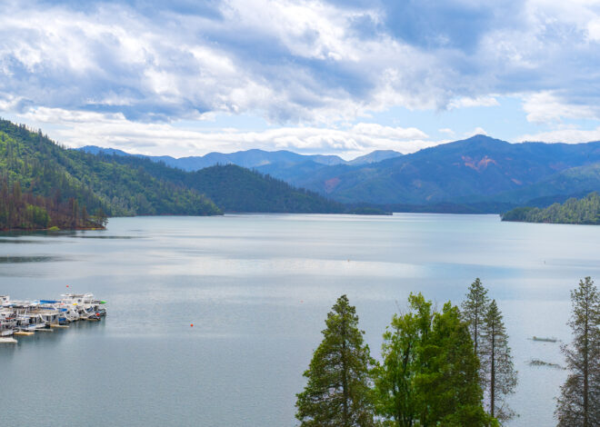Bay Area man 4th person to die on Lake Shasta so far this summer