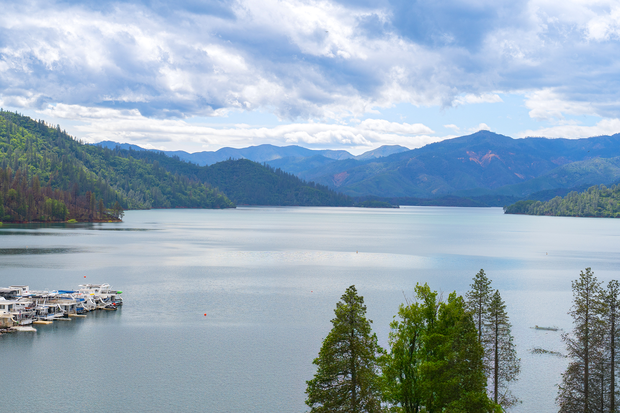 Bay Area man 4th person to die on Lake Shasta so far this summer