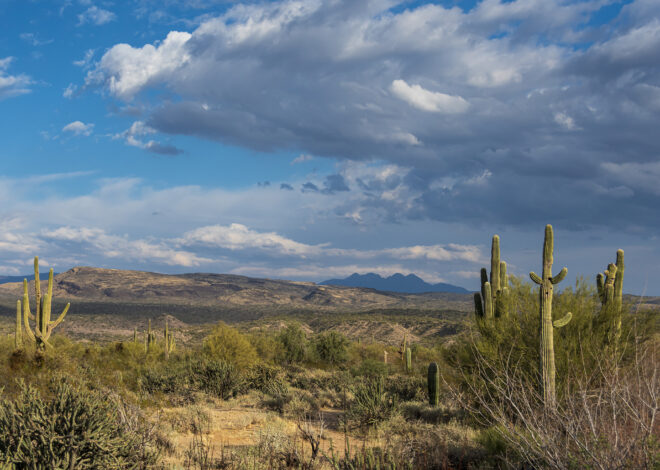 Man lived in US national forest for 8 years, creating 1,000 lbs of trash