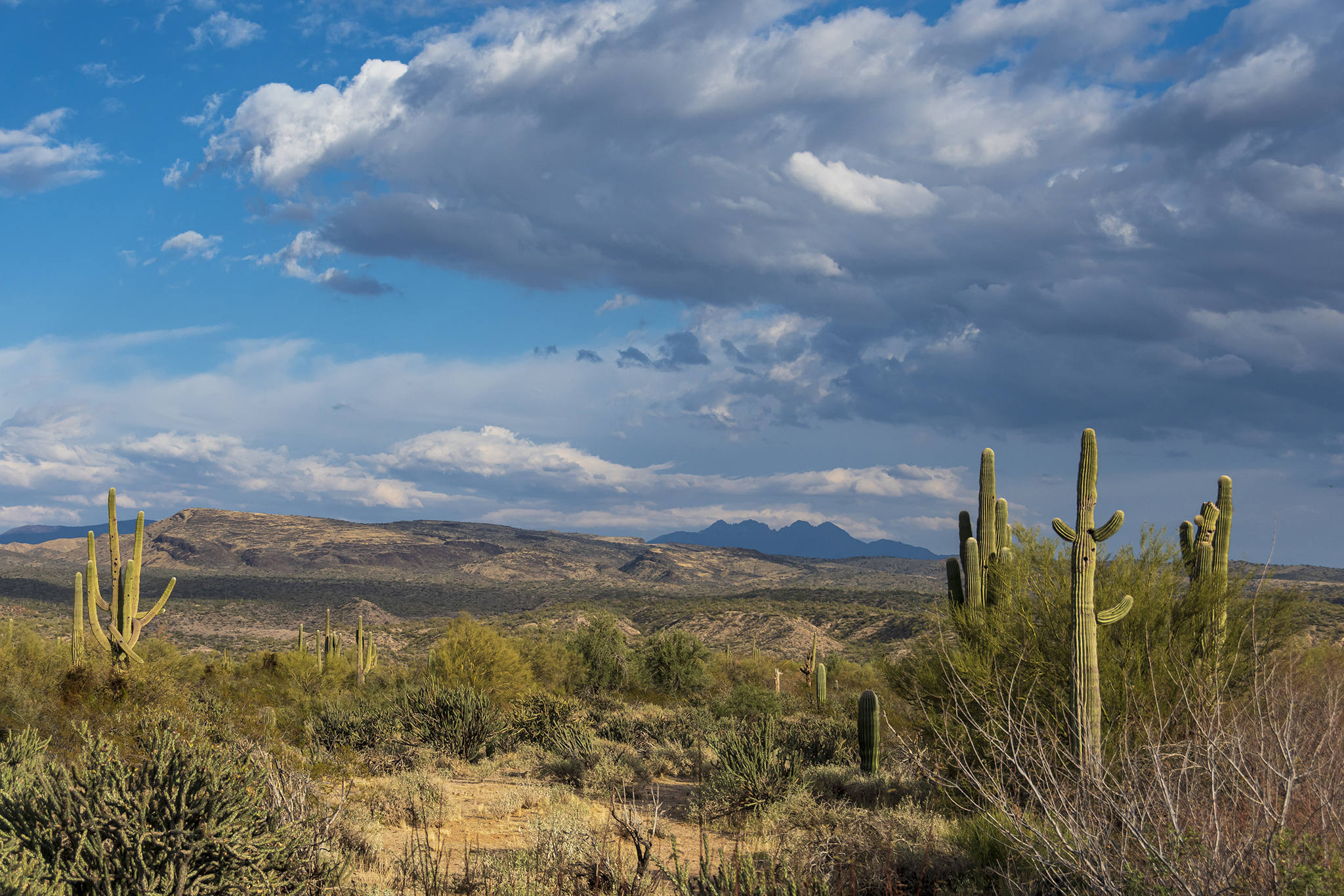 Man lived in US national forest for 8 years, creating 1,000 lbs of trash