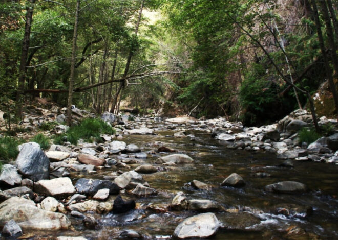 Cause of death revealed for hiker found near Big Sur hot spring