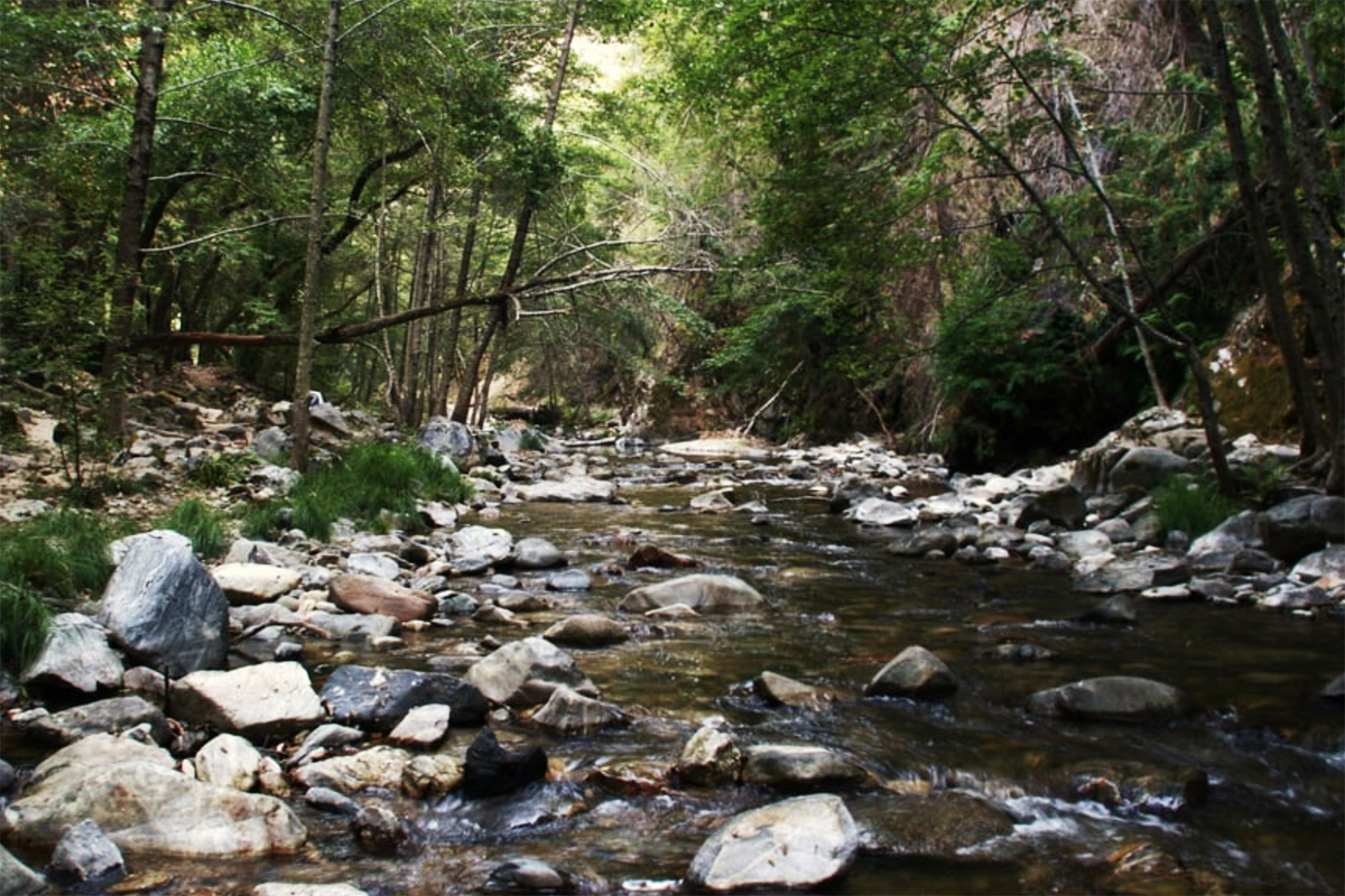 Cause of death revealed for hiker found near Big Sur hot spring
