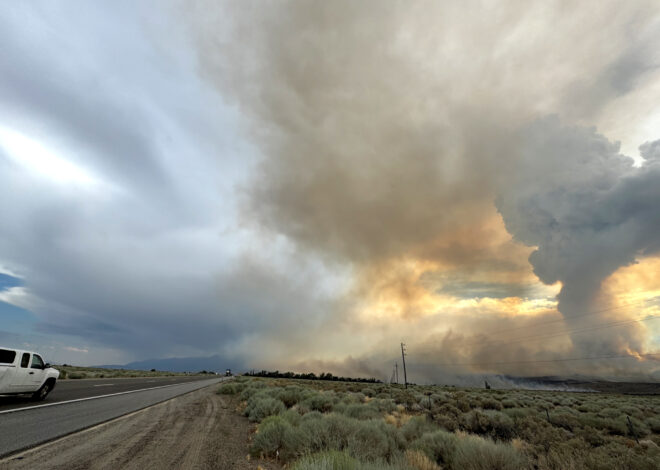 Rock Fire reaches 8,000 acres with little containment in Eastern Sierra
