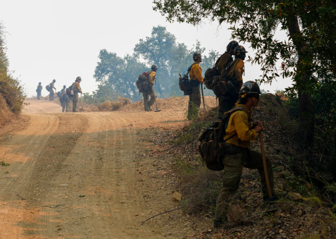 Section of Highway 1 closed as Timber Fire in Big Sur spreads